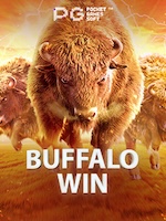 Panduan Lengkap Bermain Buffalo Win di Android